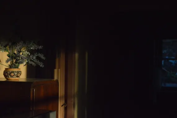 Trada Casino Ënnerstëtzung